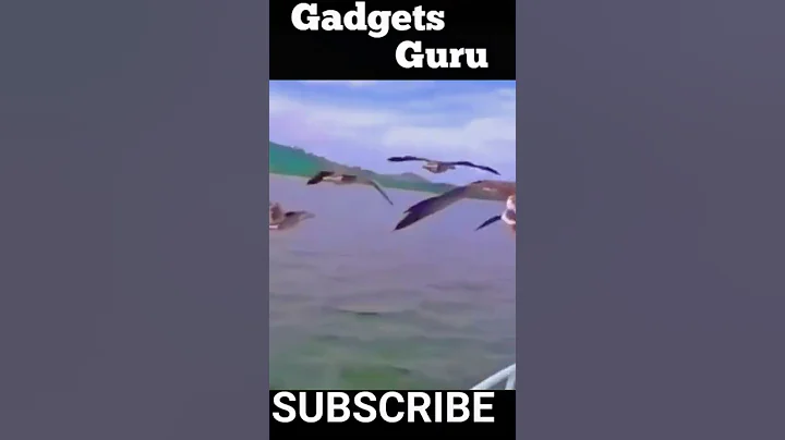 Amazing Video #801 | #Shorts #Amazing #AmazingVideo #Youtubeshorts