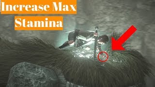 Shadow of the Colossus How To increase Stamina/ Grip PS4 Remake