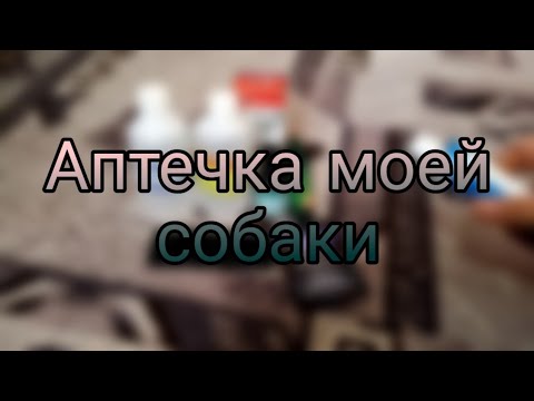 Аптечка моей собаки🐶💉