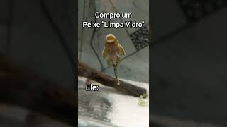 Peixe Acari, Limpa Vidro Mostrando Serviço Ário