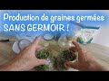 Production de graines germées SANS GERMOIR !