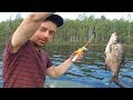 18+)Рыбалка с ночёвкой в Карелии на озере Нелгомозеро-18+) Fishing with an overnight stay in Karelia