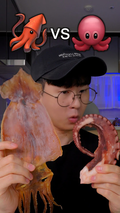 Squid or Octopus🧐