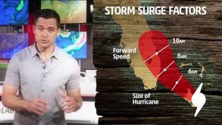 Celebrity Talking Tropics - Lowry - StormSurge Net Worth