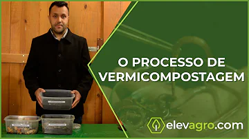 Como ocorre o processo de vermicompostagem?