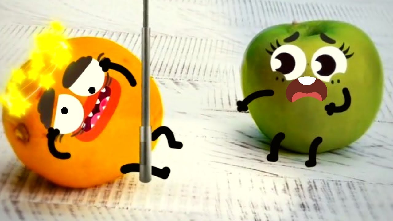 WILD THINGS AND EXOTIC FRUITS TRY TO UNDERSTAND WHO THEY ARE - SECRET LIFE OF THINGS