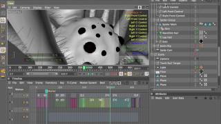 C4D Spider Animation tutorial - Adam Benton - Video04
