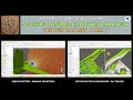 🍪 CFD cookie - Mastering paraview - The YF17 dataset - Part 7