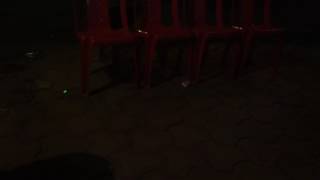 Prank y laser with dog screenshot 5