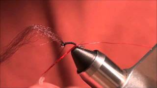 TCO Fly Tying - The Lightning Bug - Jake Villwock