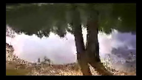 pond walk