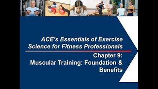 Details Chapter 9 Muscular Training (Part 1) Guide