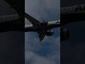 Lindíssima aproximação para pouso de um Embraer E195 E-2. Curta e compartilhe! #aviation #viral
