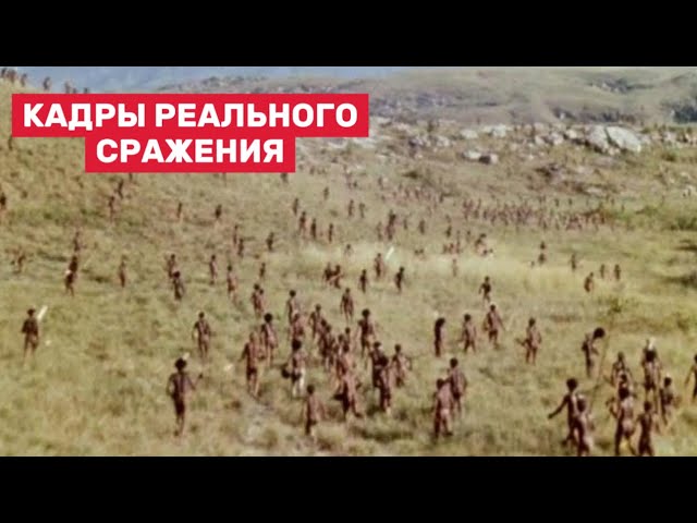 Сражение между племенами Западного Папуа, 1963 г.