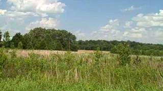00 Sunshine Rd Henderson TN