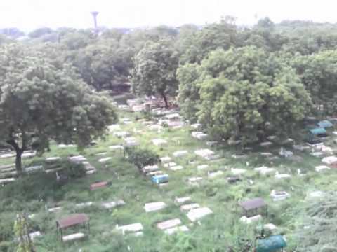 Image result for kabristan delhi