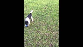 Patterdale Cross