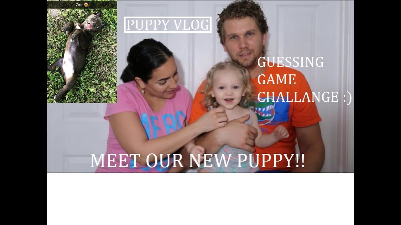 newly weds quotes MEET OUR NEW PUPPY 🐶 | GUESSING GAME CHALLENGE | PUPPY VLOG