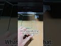 Лазерный стеклорез нового поколения.Next-generation laser glass cutting machine