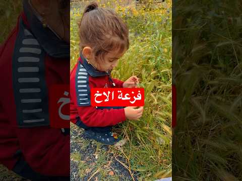 نهاية الزير حطولنا عنوان للفيديو زيكو والزير Zico And Zer 