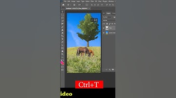How to Add Tree Preset Photoshop | #photoshop #shorts