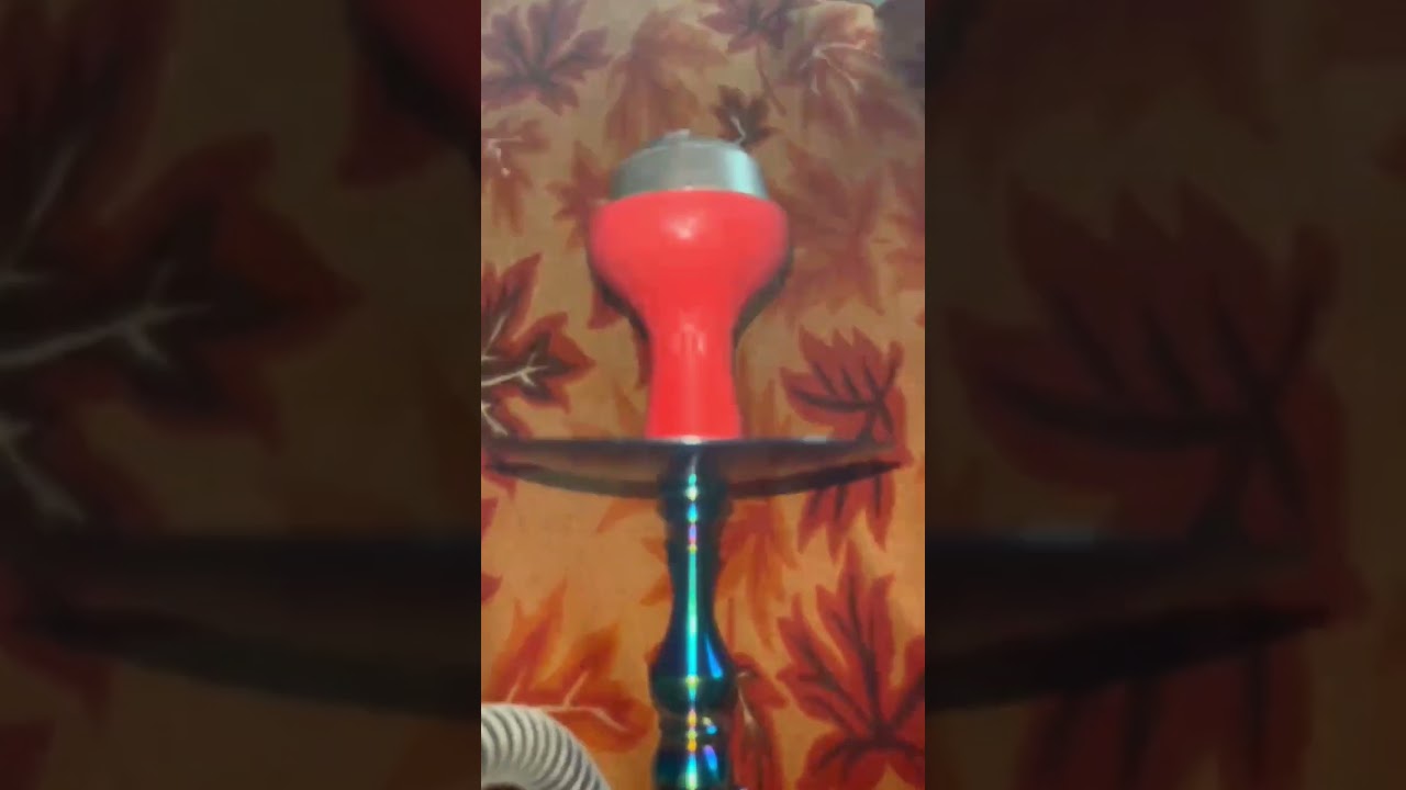 cocyaya Simba series 💸