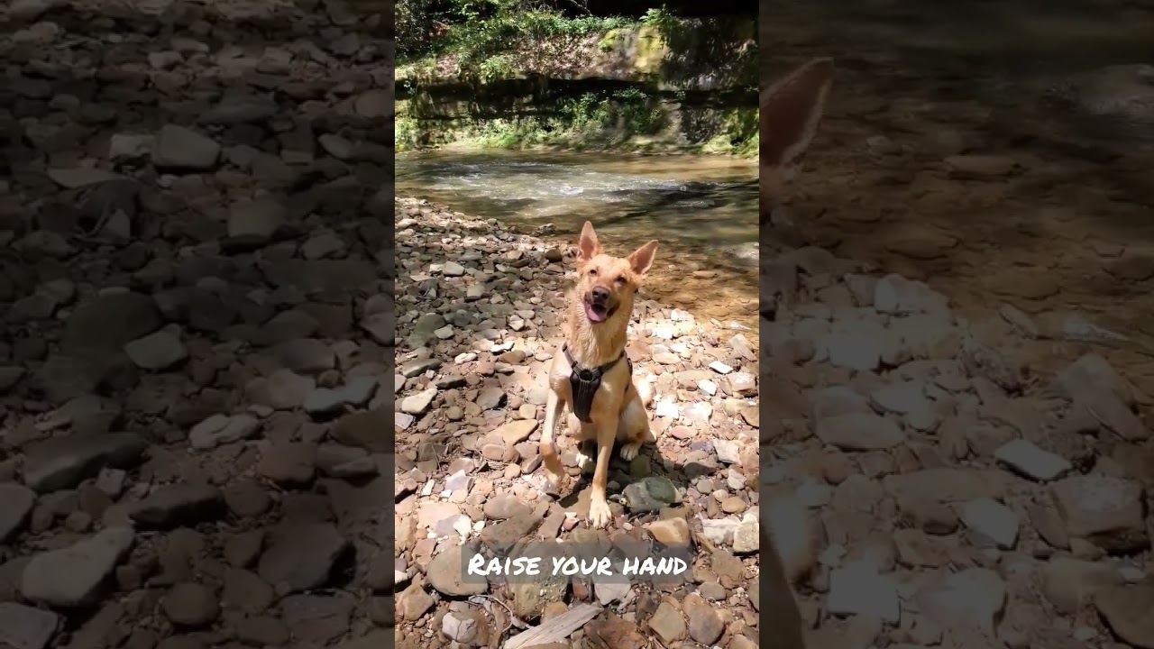 It's No Secret, Cane Loves The Gorge ❤