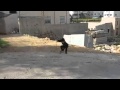 اصغر ضارب مقلاع