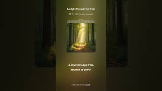 Tunee Sunlight Through the Trees