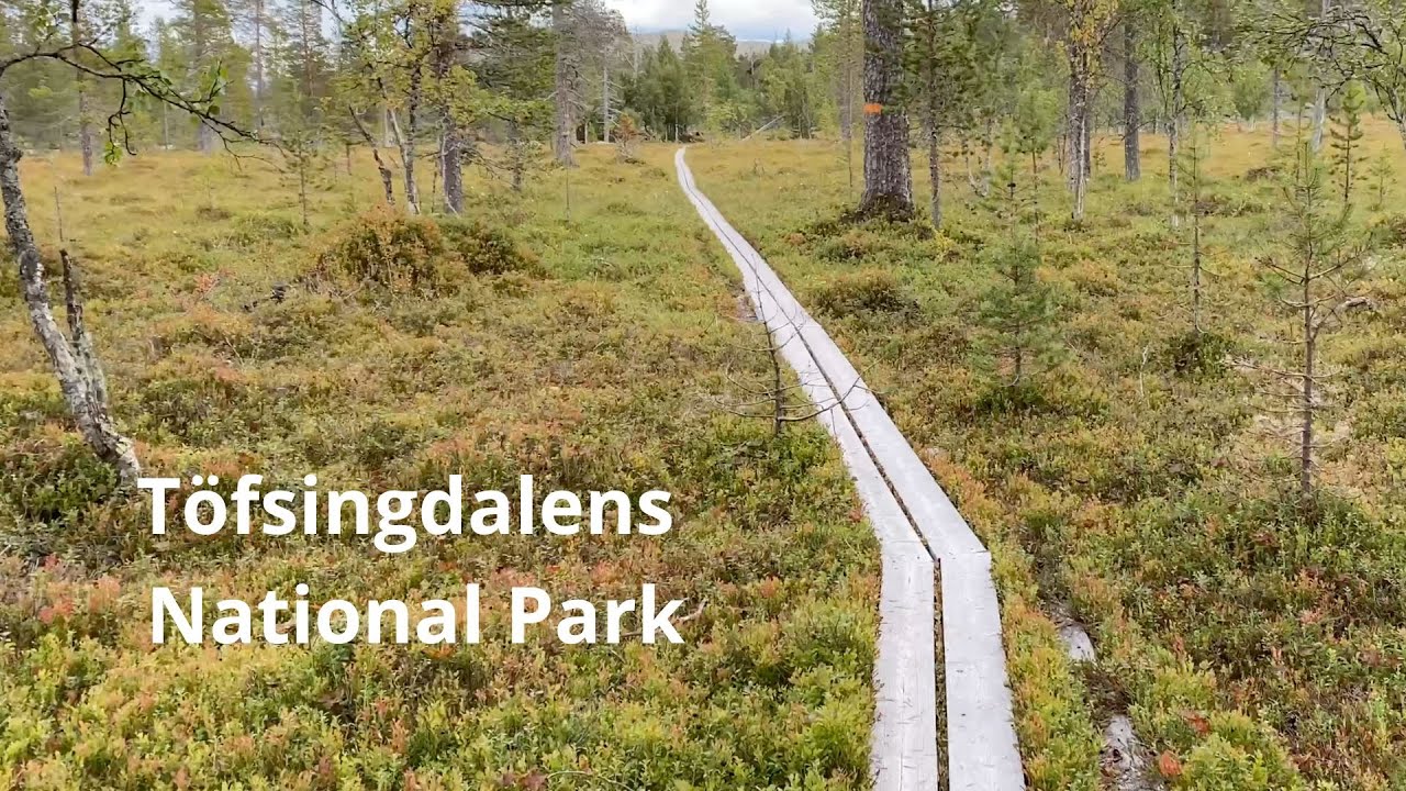 Töfsingdalens nationalpark
