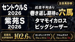 【セントウルS・紫苑S2026】巻き返し期待の穴馬！ファストネットワークの取捨は？【注目馬診断｜競馬予想】