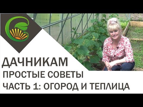 Простые советы дачникам. Часть первая: огород и теплица