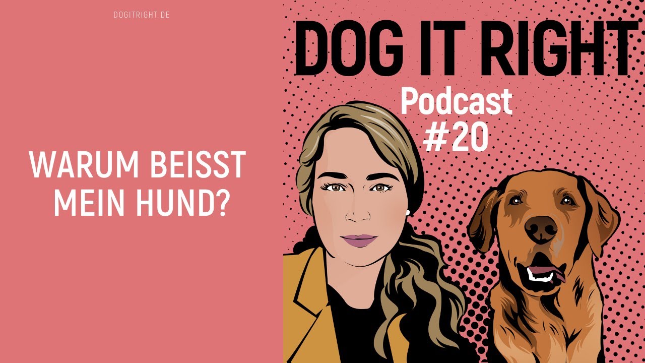 Warum beißt mein Hund? | Dog It Right Podcast