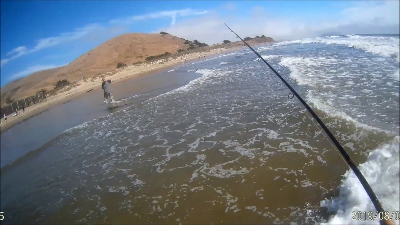 Back to Morro Bay again next day for surfperch fishing. YouTube