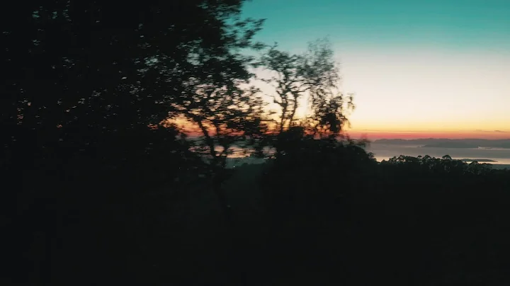 Carrie. & Dimi - ORPHEUS (Official Lyric Video)