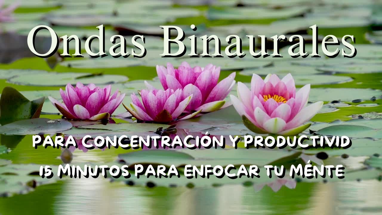 Ondas Binaurales para Concentración y Productividad | 15 Minutos de ...