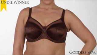 2010 Undie Awards Favorite Overall Full Figure Bra -- Goddess 6090