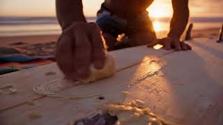 ROOFTOP REGGAE 🌴 Elevate your senses - Background Music & Video (Live)