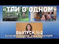 «Три в одном» выпуск №2 | Комментарии иностранцев