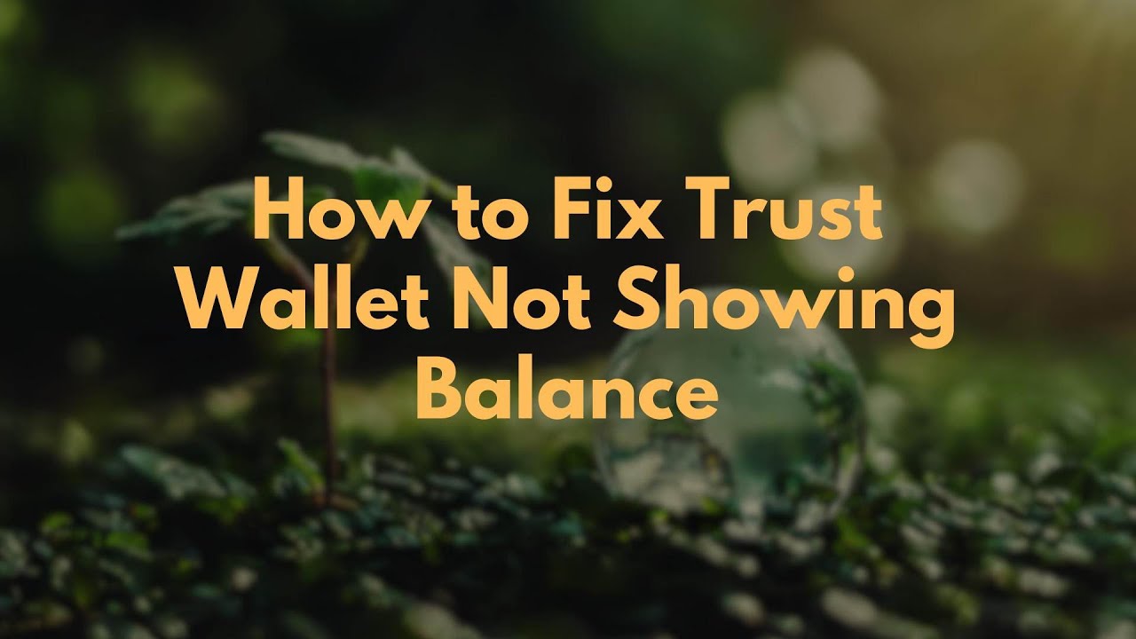 How to Fix Trust Wallet Not Showing Balance - YouTube