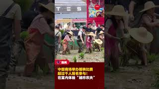 【商场内举办插秧比赛❗️】