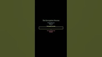 Encryption explained (Reupload) - Better quality #coding #programming #encryption