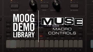 Muse | Macro Performance Controls