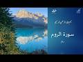 Brief Explanation of Sūrah ar-Rūm | Tazkiyah bil Quran (Cleansing the Heart with the Quran)