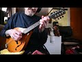 Love Me Tender #2 ( Mandolin )