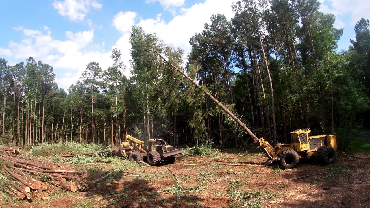 DSL- Tree smacking tigercat skidder - YouTube