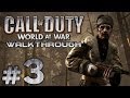 Прохождение Call of Duty 5: World at War — Миссия №3: ЖЕСТКАЯ ПОСАДКА
