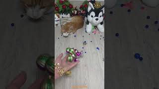 Satisfying reverse ASMR with street cat Lucky and colorful beads 🐾😸🌈 #satisfying #relaxing #reverse