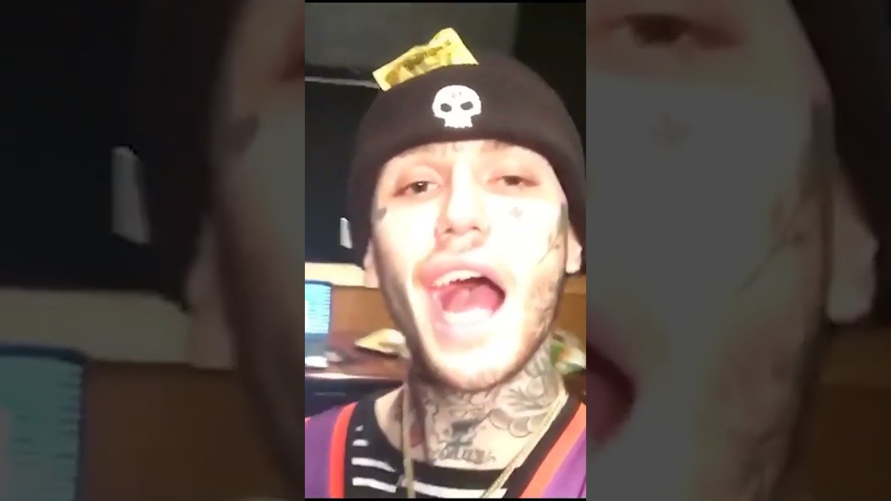 i feel like fish narc