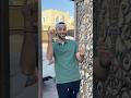 اذا السعب يوما اراد الحياة فلا بد ان يستحيب القدر   اسمعها